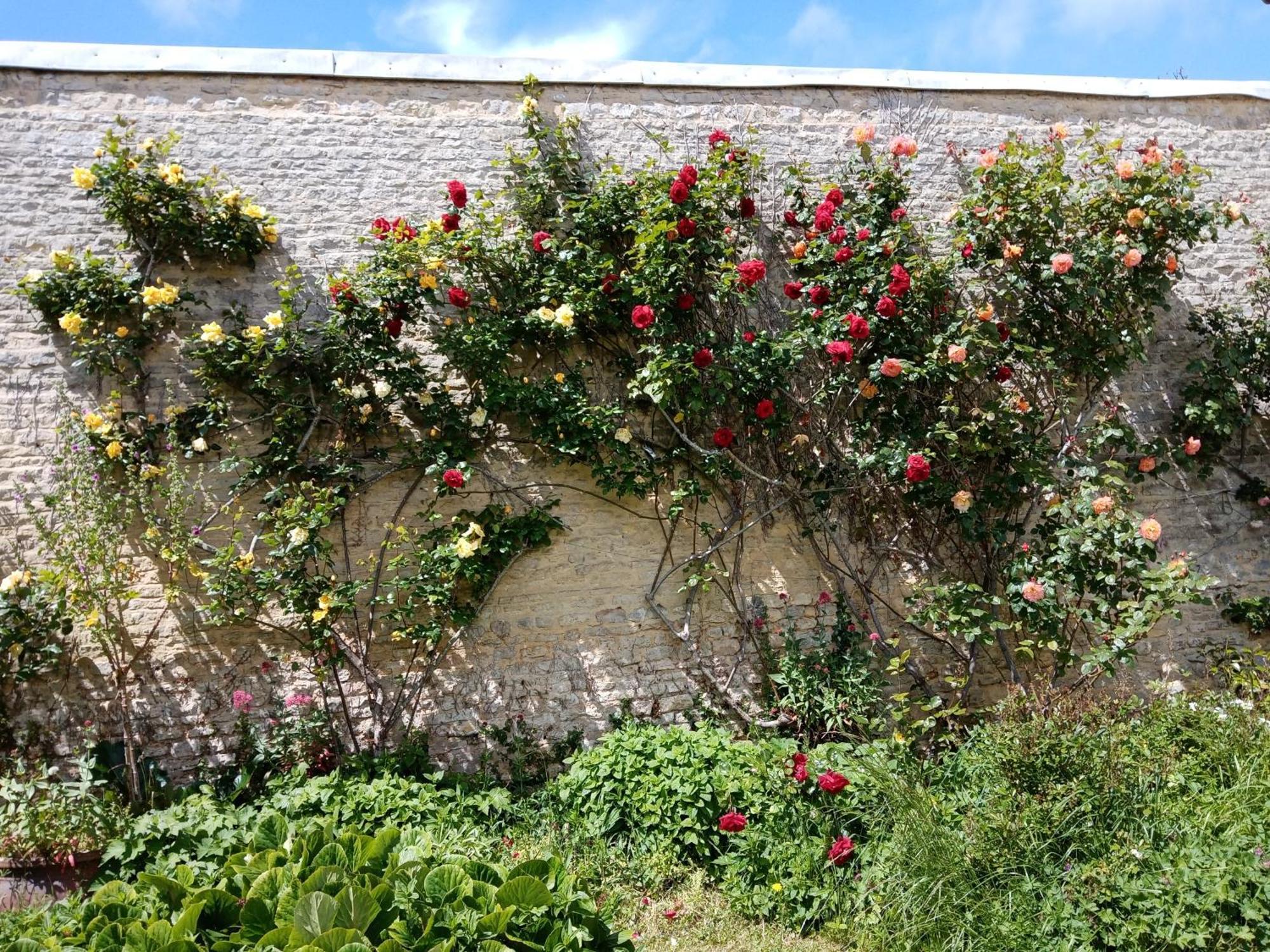 Bed and Breakfast Rose Garden Bayeux Esterno foto
