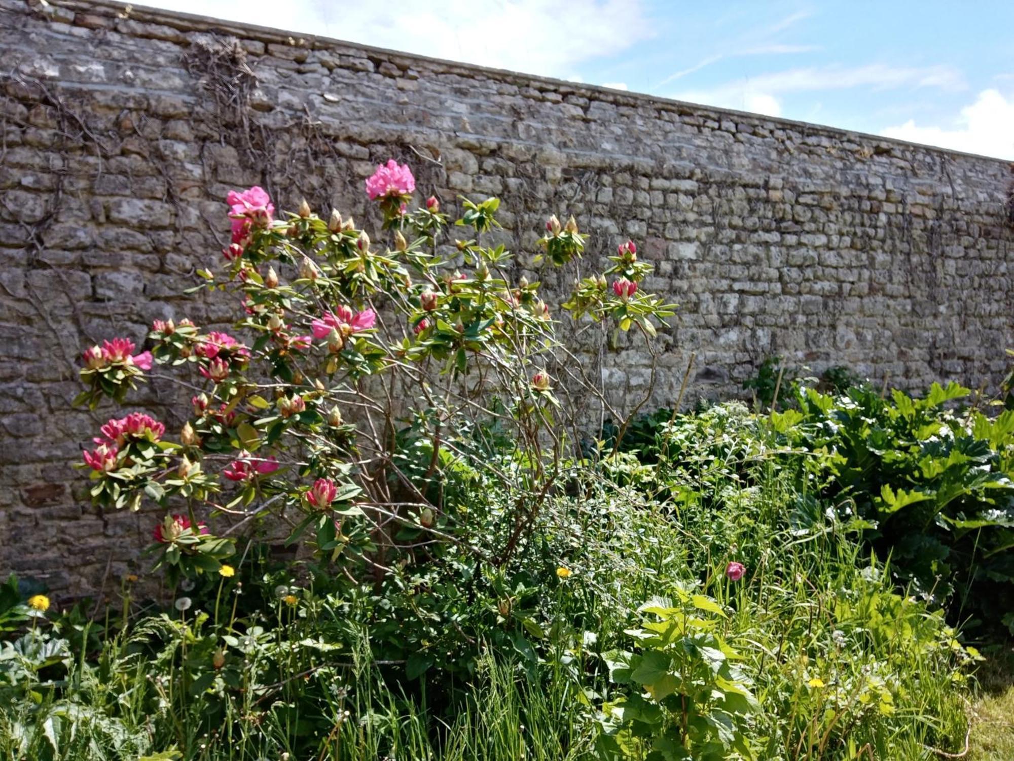 Bed and Breakfast Rose Garden Bayeux Esterno foto